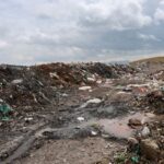 Car compostela