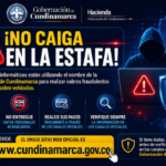 ESTAFA+WEB