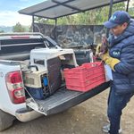Animales en incendios