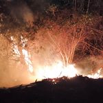 Incendios controlados