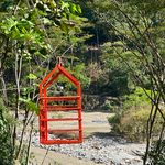 Tarabita en Guayabetal